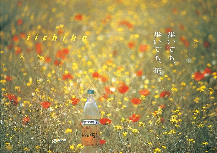 iichiko いいちこ ポスター 森 小川 三和酒類麦焼酎広告 iichiko