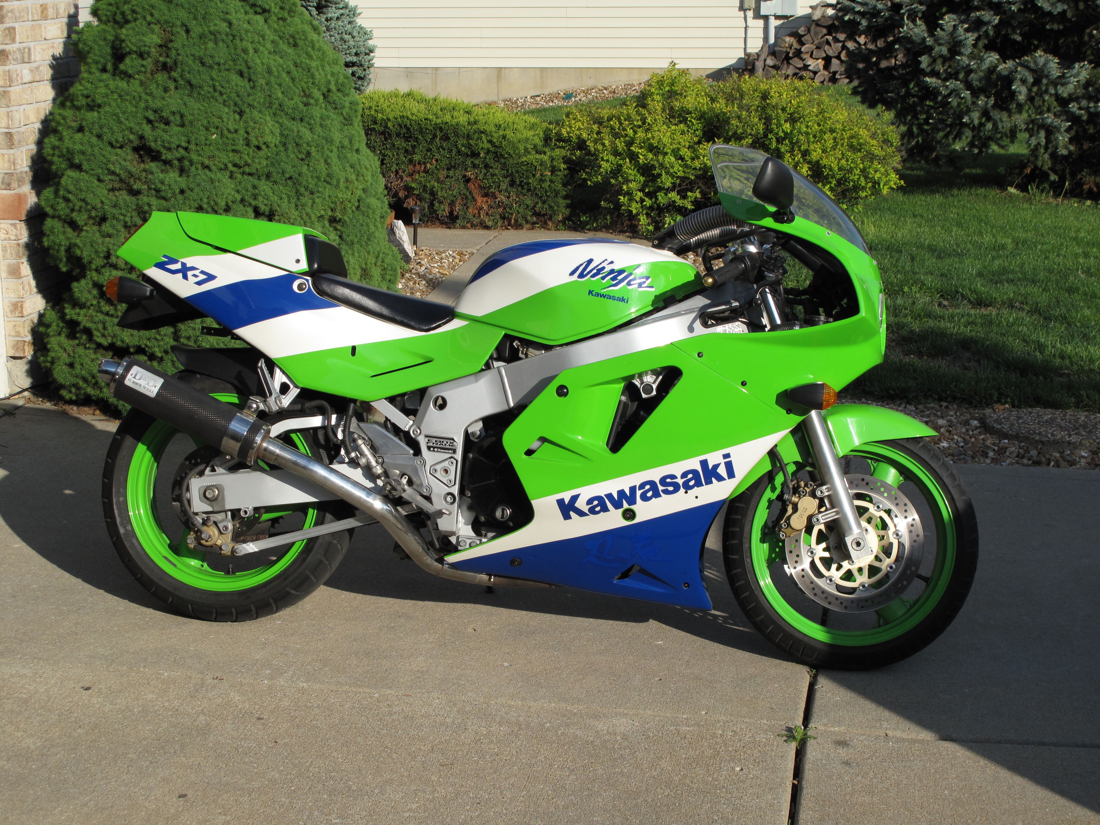 2000-2003 Kawasaki ZX9R Scott's Performance Steering Stabilizer