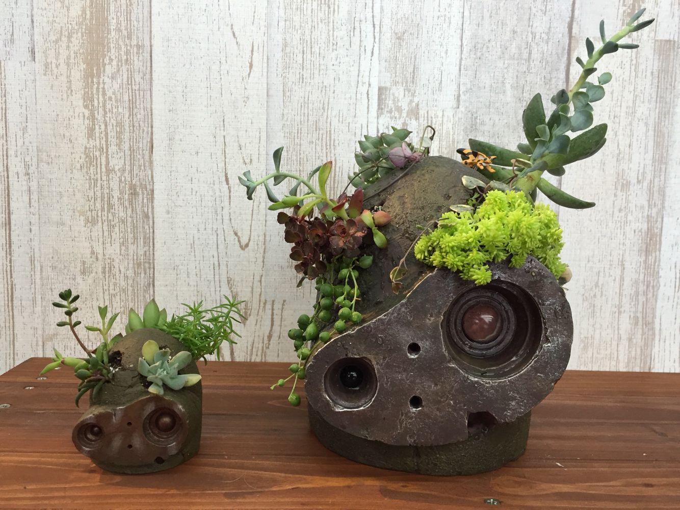 巨神兵 天空の城ラピュタ 巨大プランター 天空の城ラピュタ 巨神兵