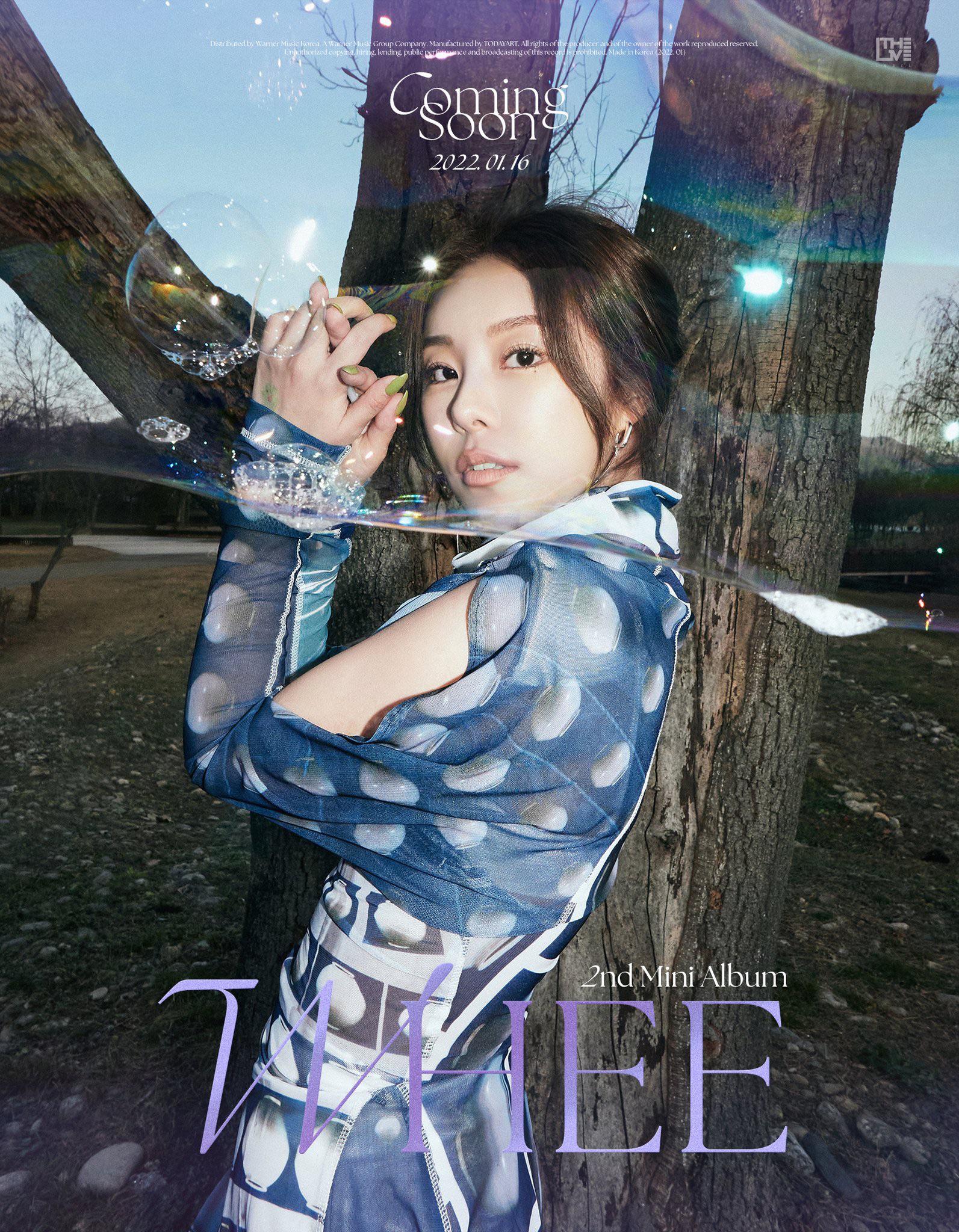 mamamoo wheein サインポラロイドmamamoo wheein サインポラロイド