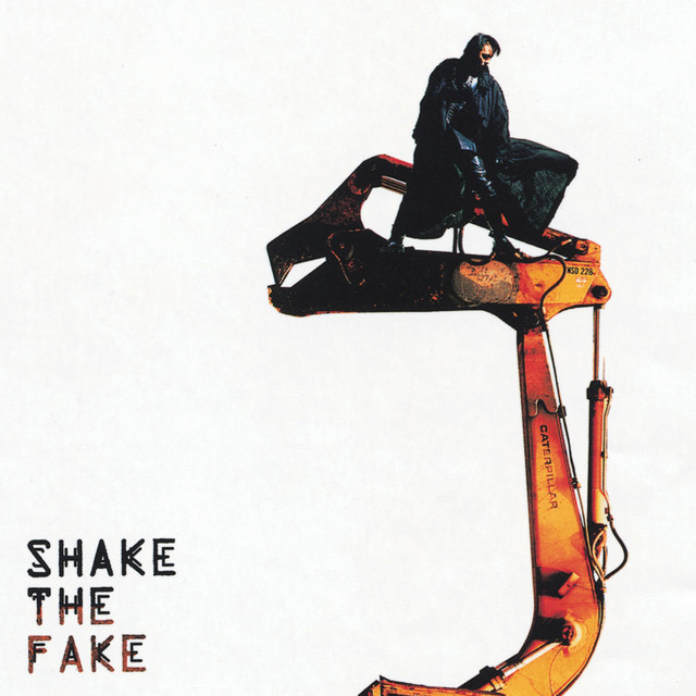 SHAKE THE FAKE ‑「アルバム」by 氷室京介 | Spotify
