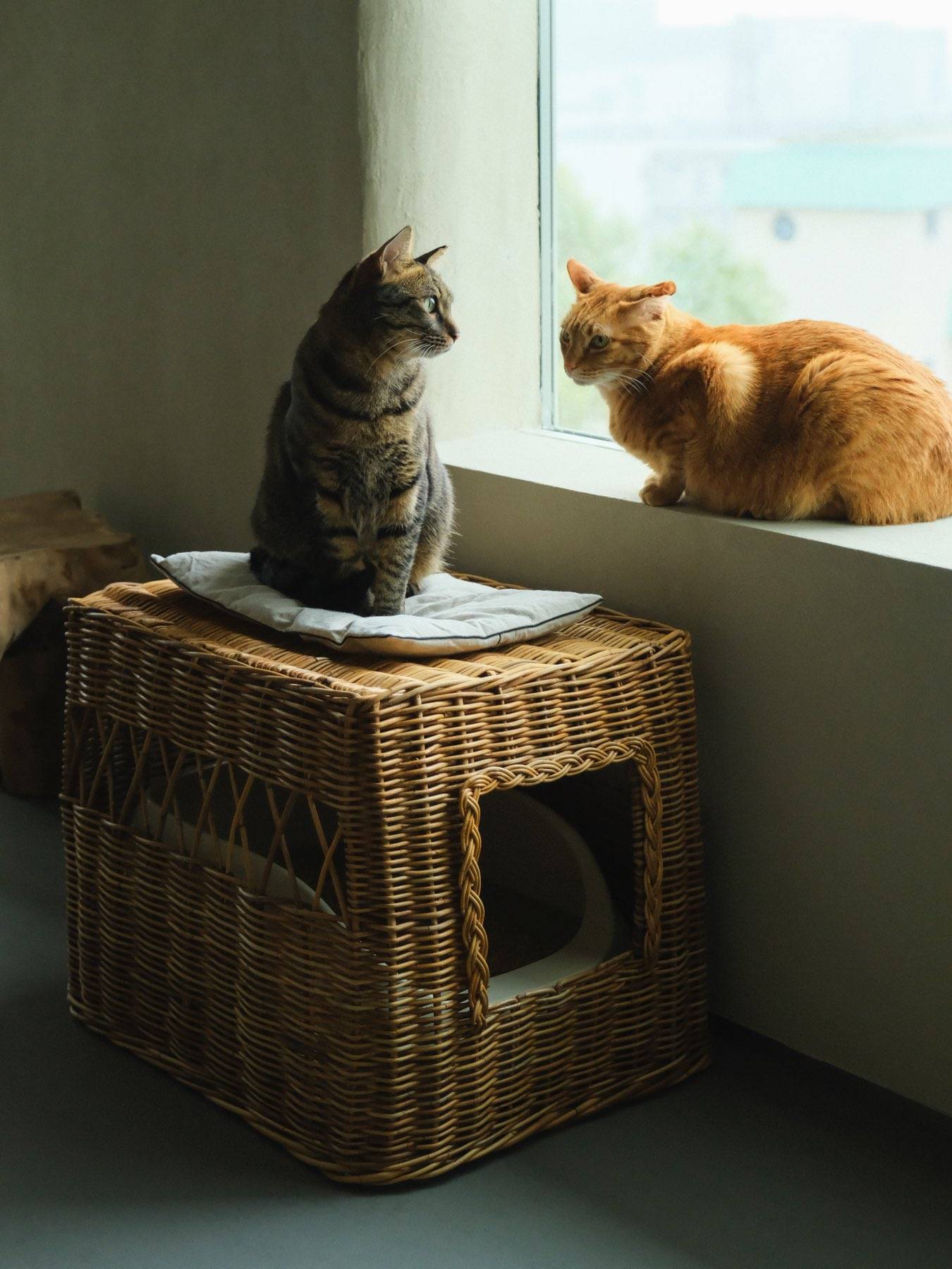 オルネコ×Encachette アラログトイレカバー