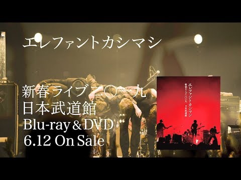LIVE Blu-ray/DVD「新春ライブ2019 日本武道館」ダイジェスト - YouTube