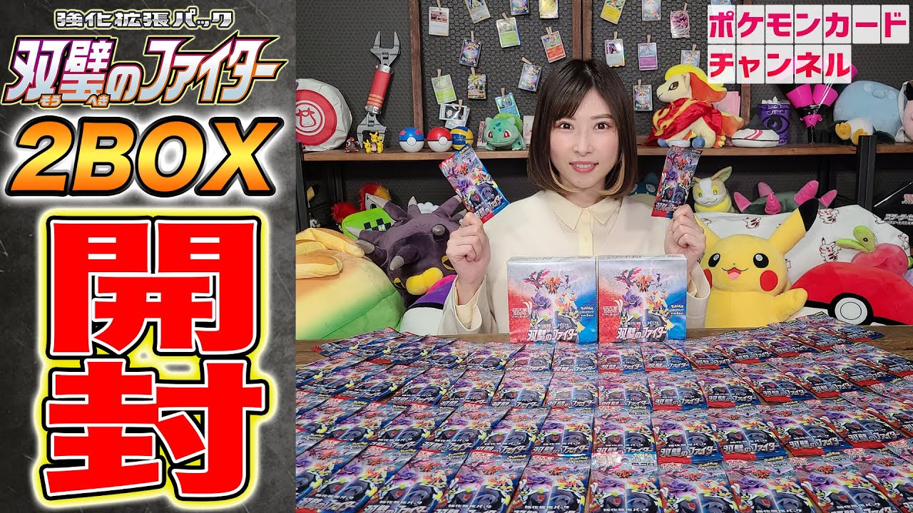 開封】超迫力でカッコイイあのSRが・・・！？「双璧のファイター」2BOX