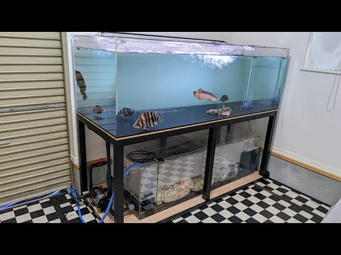 特注 アクリル水槽 1800 600 600h 上部濾過槽 大型水槽 大型水槽 上部