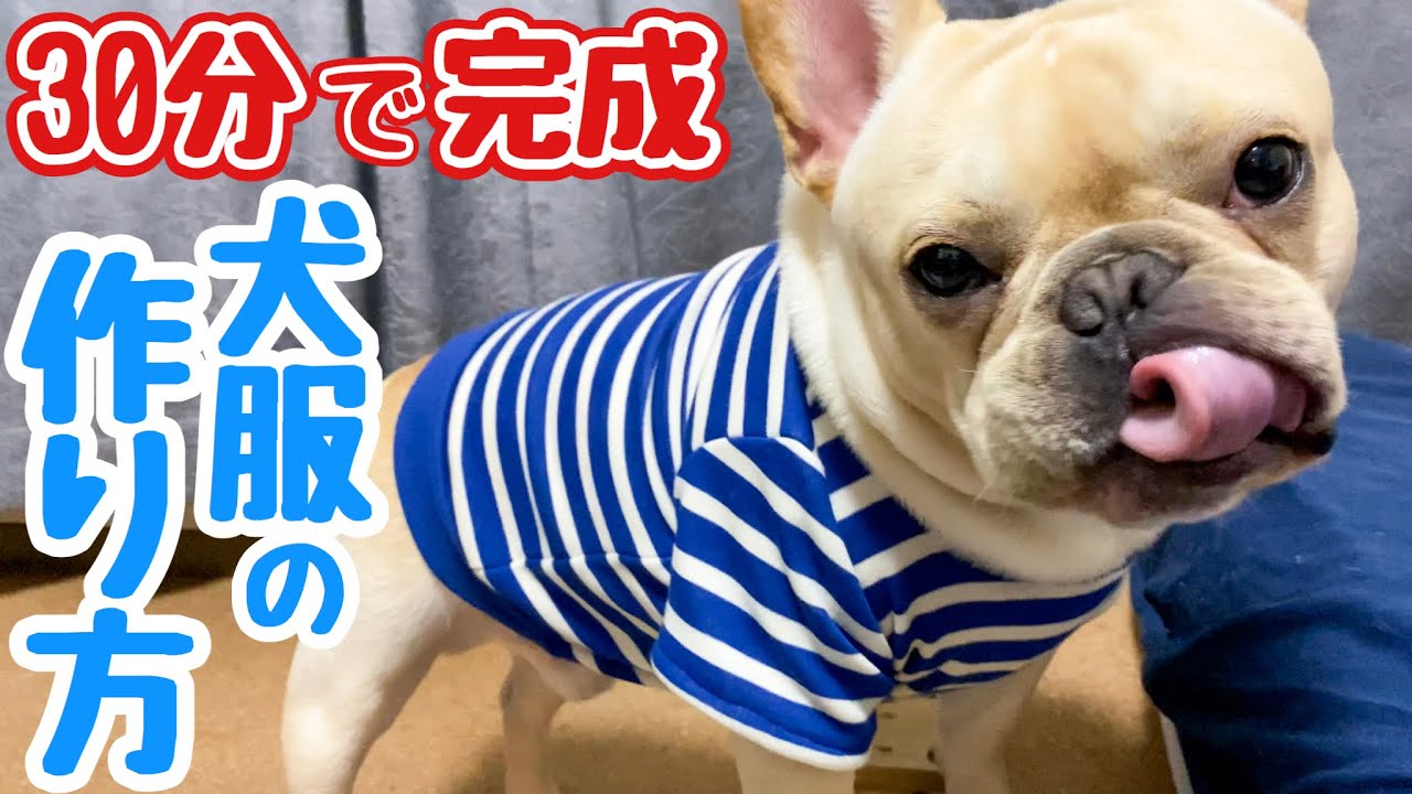 古着から犬の服へ 【公式通販】
