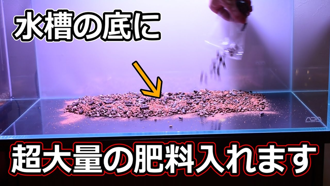 激レア 誤表記版 ADA メタルウッドツールスタンド ADA METAL WOOD TOOL