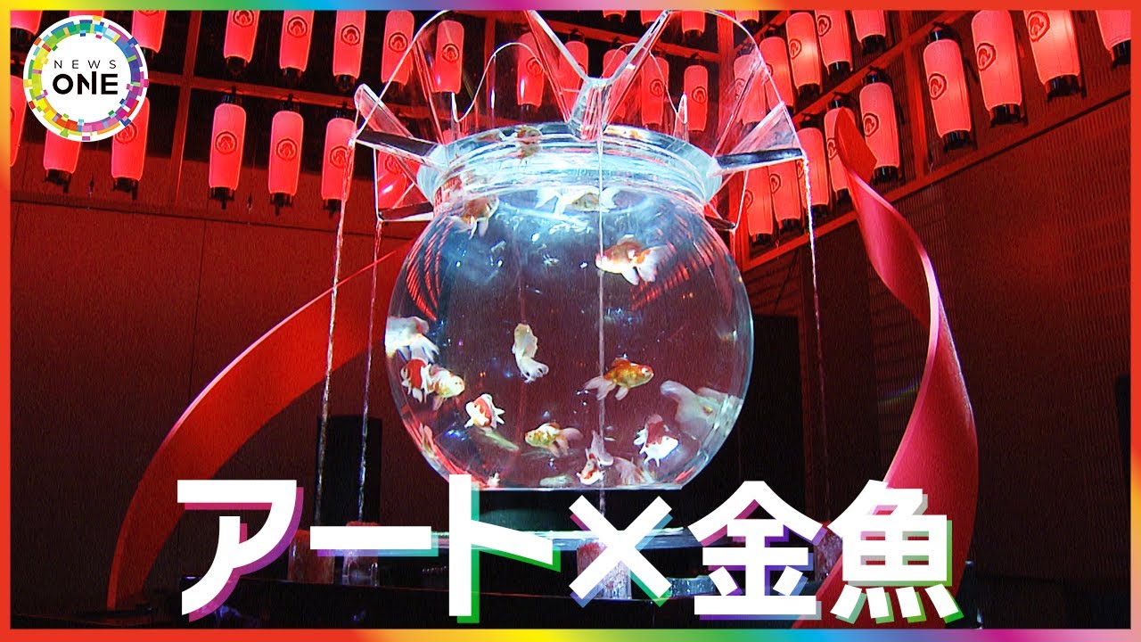 アートアクアリウム展】44種類・約2500匹の金魚が幻想的な作品に