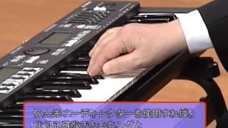 ヤマハ ハーモニーディレクターHD200、フットペダル、ソフトケース