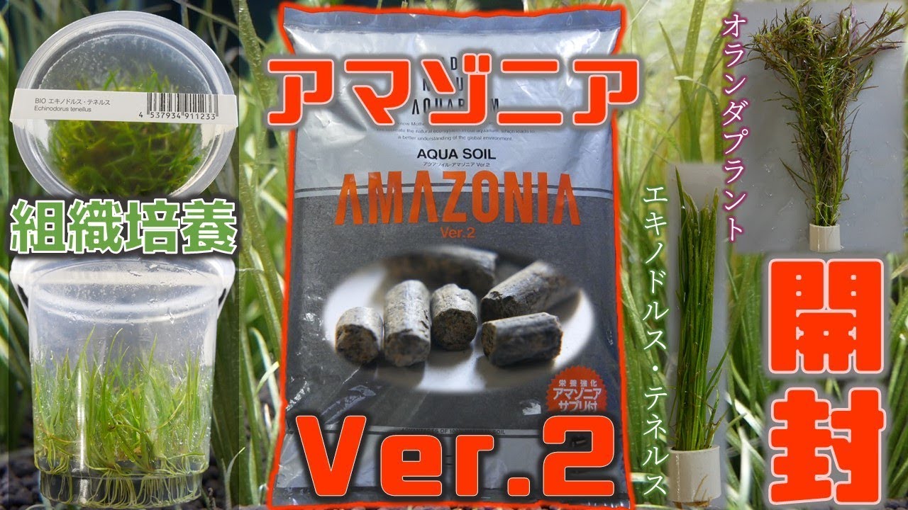 リセット後編】最初から使うべきだった。ADAの新作、アクアソイル