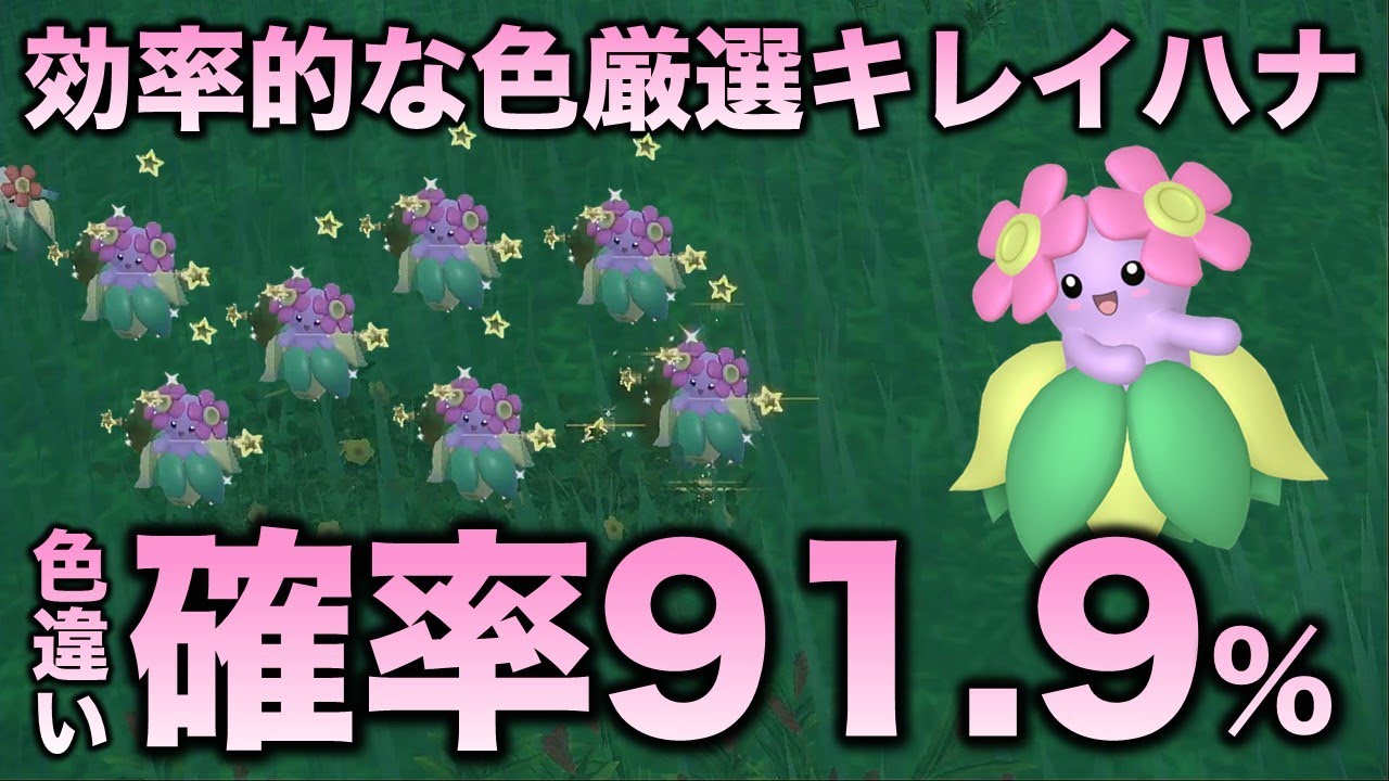ポケモンからグッズを探す｜【公式】ポケモンセンターオンライン