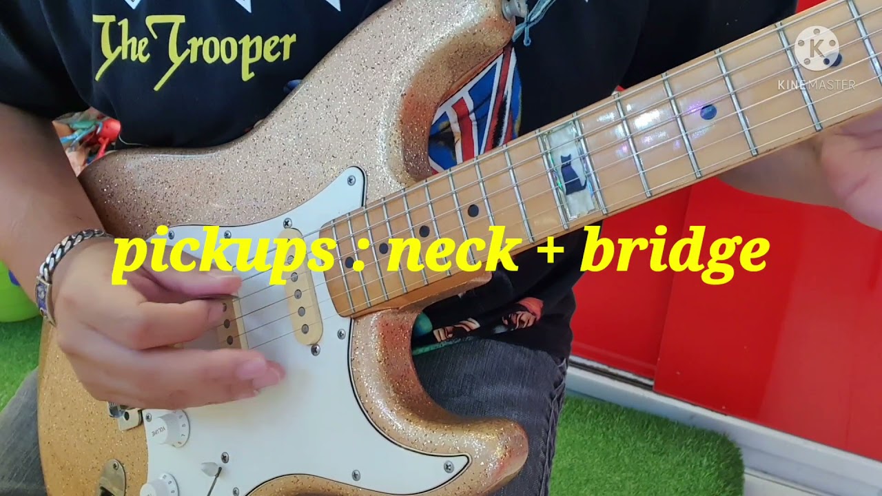 ギター FERNANDES LOVE D LD-85KK fernandes LD-85KK love d ラルクken