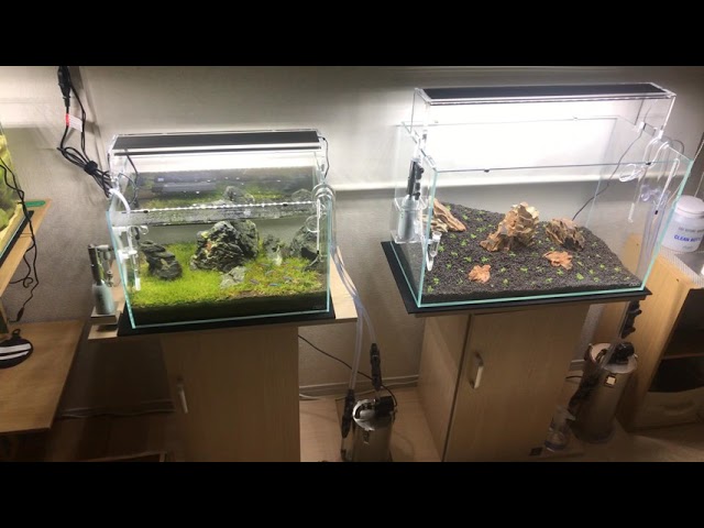 アクアリウム】ADA水槽 30 45 60センチ水槽 - YouTube