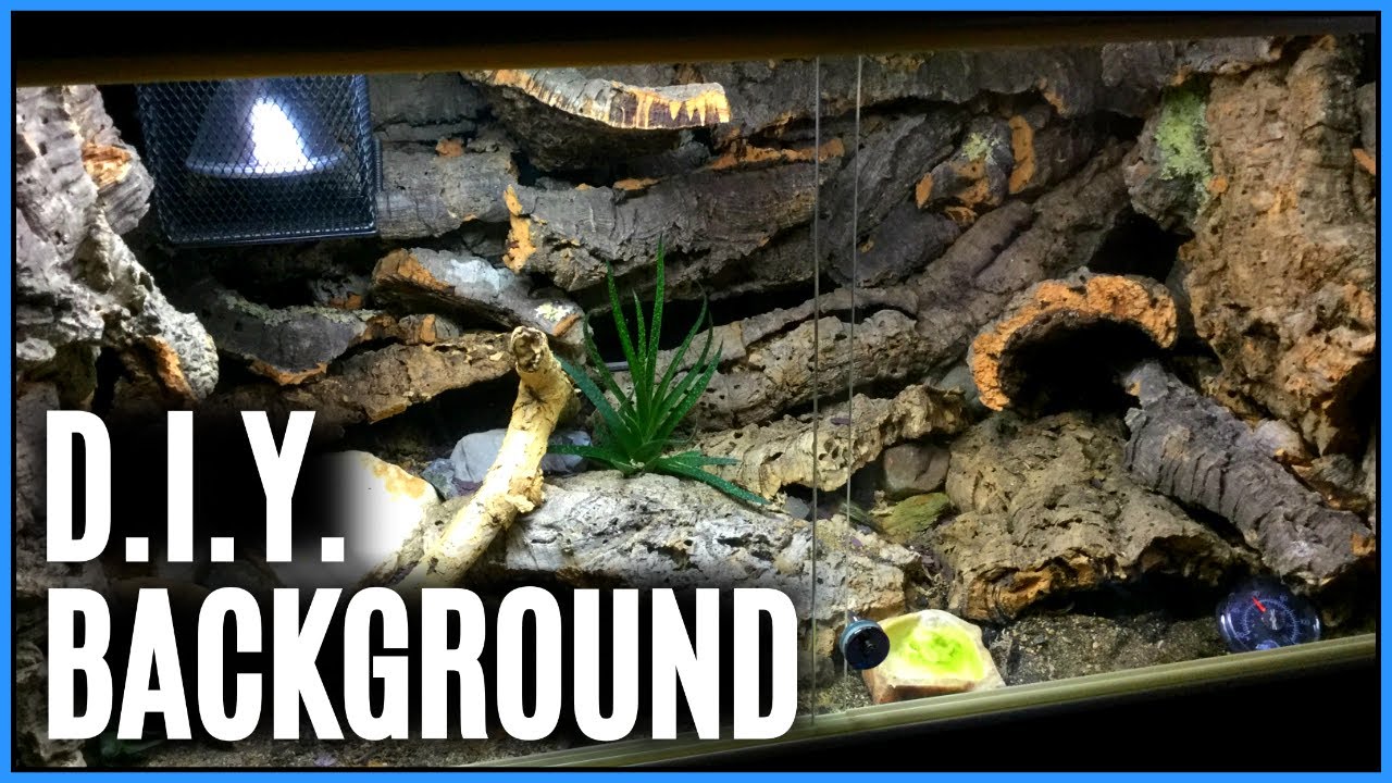 ビバリウム】参考になりそうなレイアウト動画を紹介してみたいPart.1