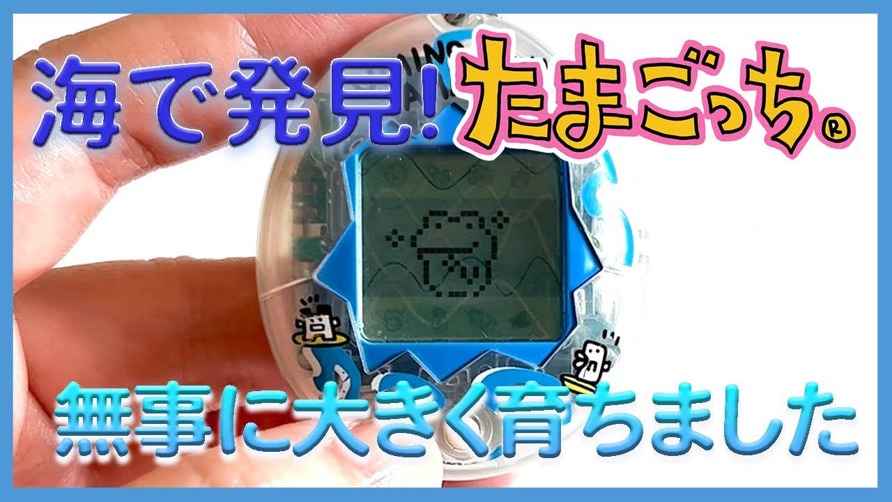 たまごっち育成動画】海で発見‼︎たまごっち…このままでは終われなかっ