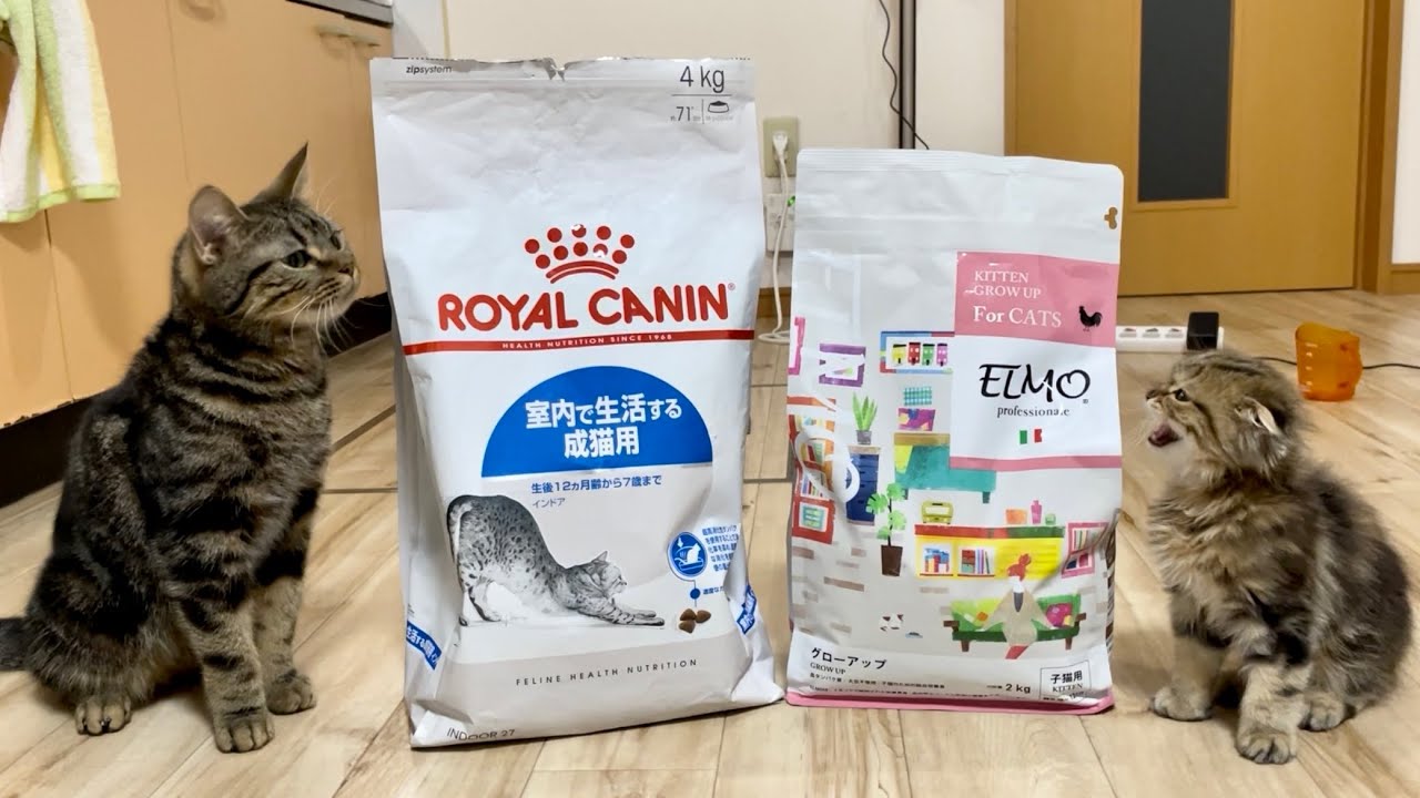計10kg】エルモ ELMO キャットフード 成猫用 インドア