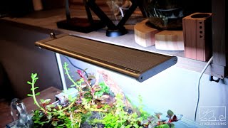 DOOA Sol Stand RGB Unboxing / Setup | Aqua Design Amano | - YouTube