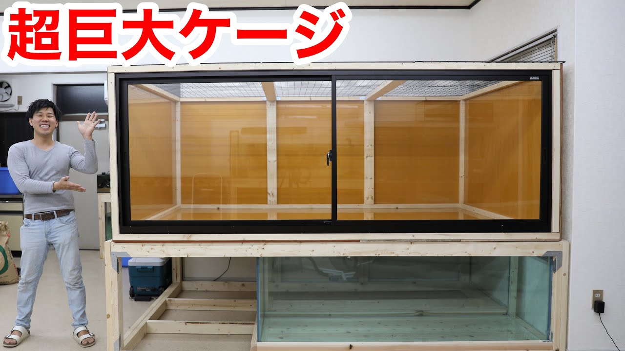 A huge cage for keeping monitor lizard has been completed - YouTube