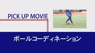 興國式サッカーテクニカルメソッド～ 将来の即戦力を育てる「 技術