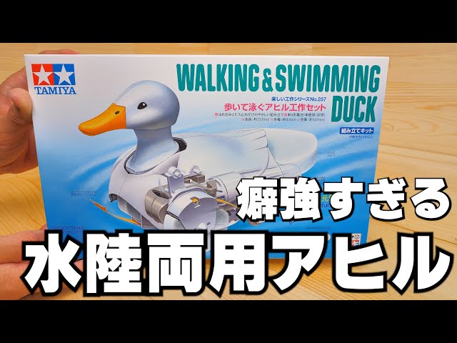 Summer Vacation Independent Research] Fun Craft Series (Set) No