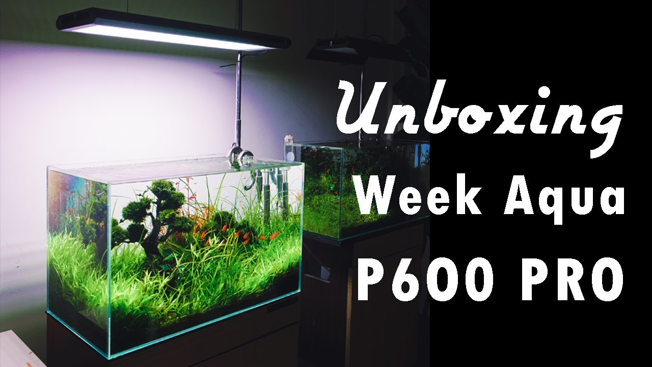 WEEK AQUA P600 Pro アクアリウムLED Week Aqua P600 PRO Unboxing and