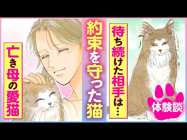 猫 cat コレクション インテリア アニマル 動物 漫画 レア 希少 貴重