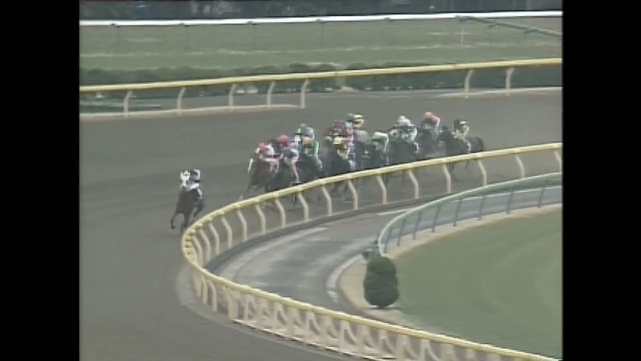 2000年フェブラリーステークス ウィングアロー - YouTube