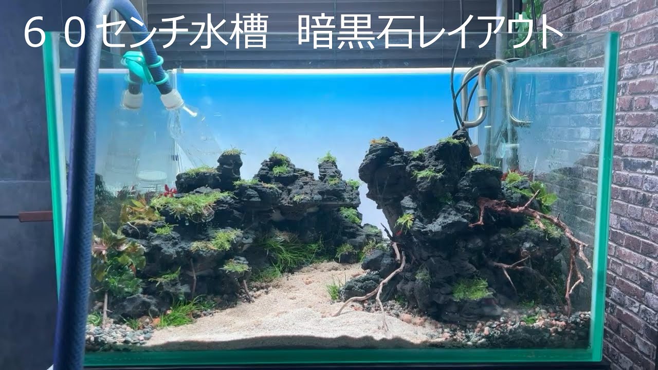 60センチ水槽レイアウト素材 【公式通販】