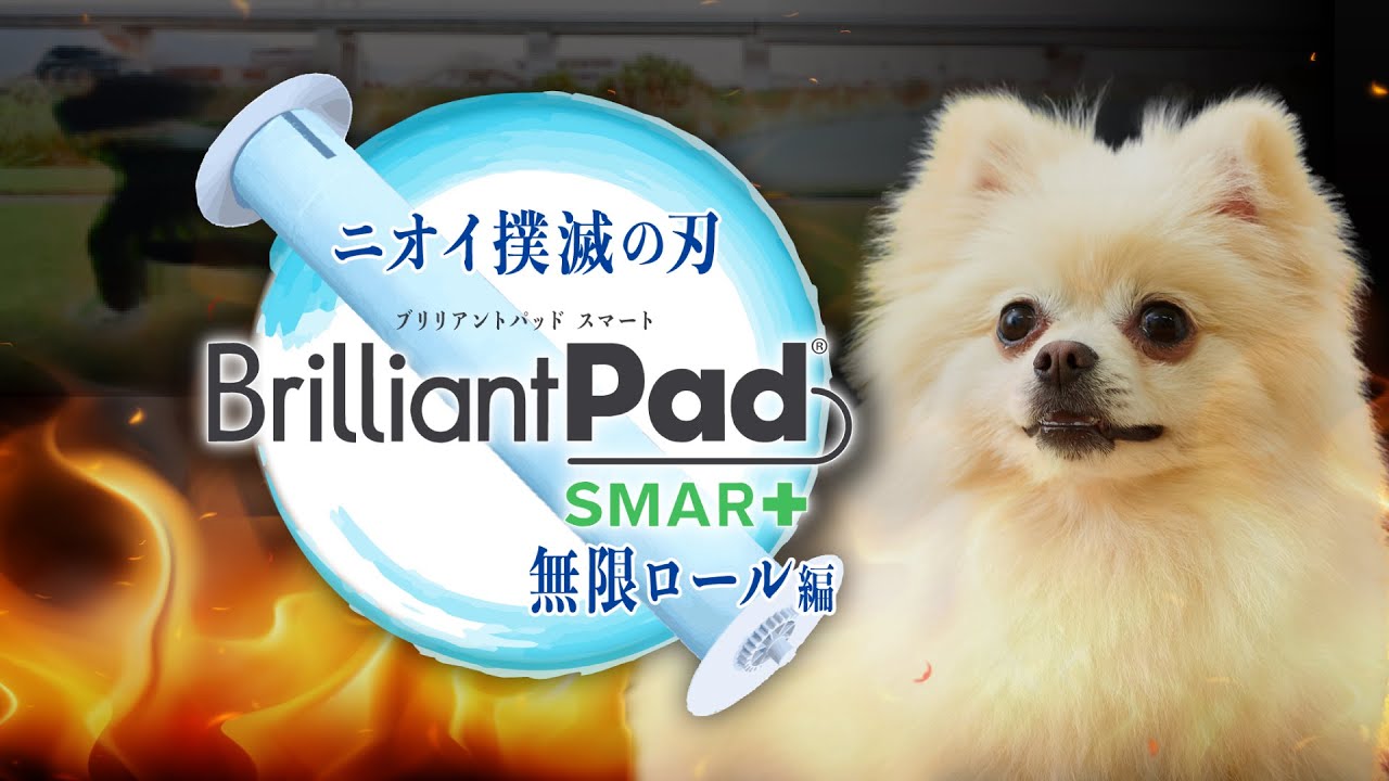 ニオイ撲滅の刃ー無限ロール編ー【BrilliantPad SMART（ブリリアント