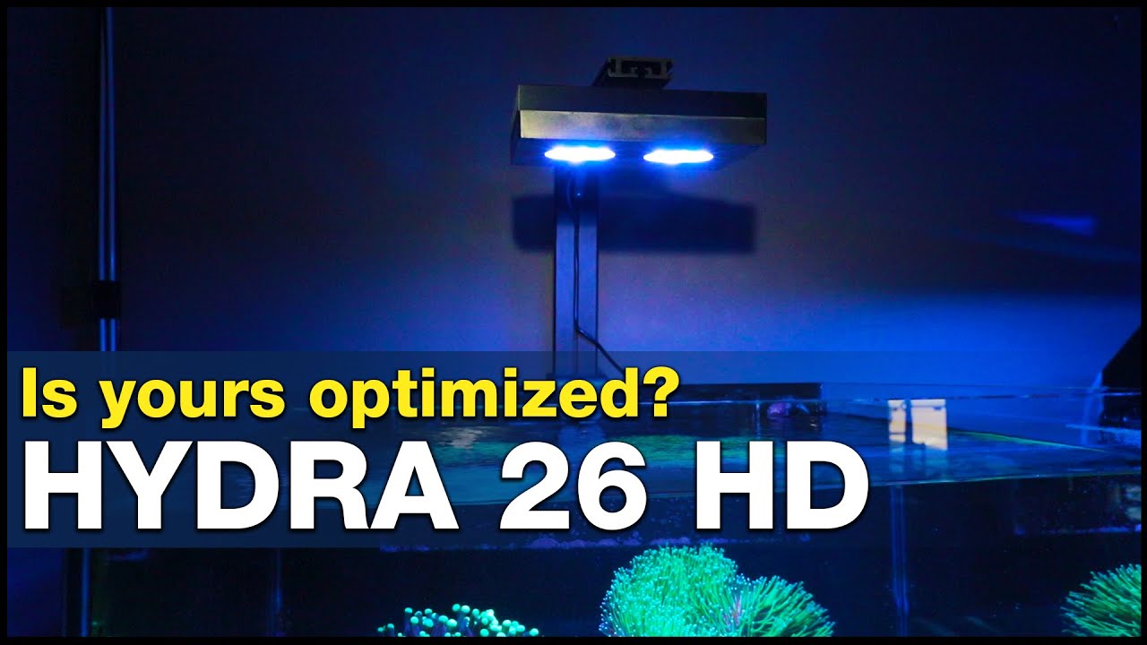 Are you using your AI Hydra 26HD to peak performance? We tested
