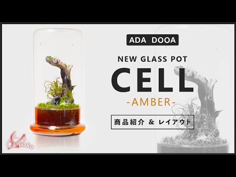 ADA DOOA New Product] Glass Pot 