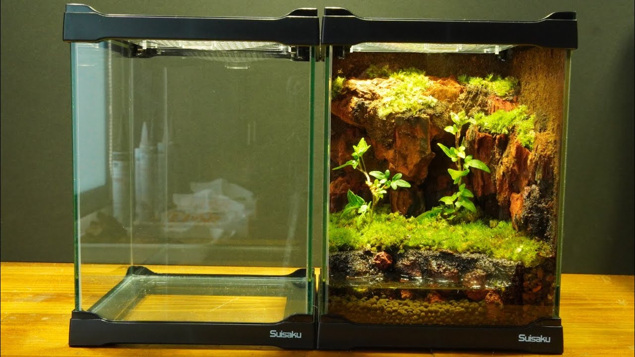 40cmイモリウム テラリウム パルダリウム水槽 40cmイモリウム