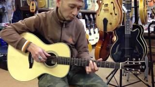 LEVINSON ACOUSTIC LS-43 w/AK15plus|ドルフィンギターズ
