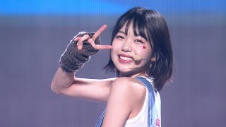 海老原鼓 7種 12枚 海老原鼓（EBIHARA TSUZUMI）✧︎ LEAP HIGH