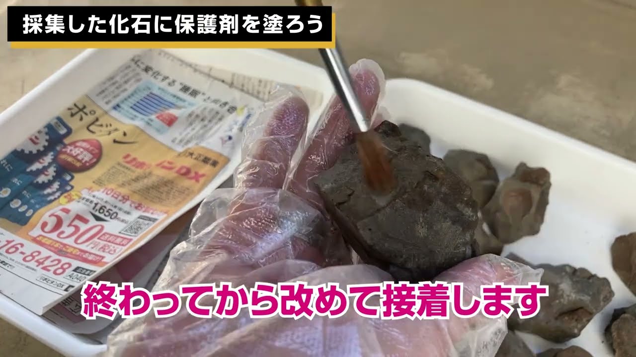 Easy! How to protect fossils. - YouTube