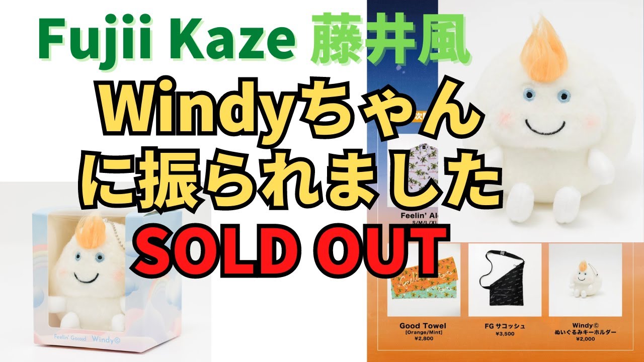 🍃Windyちゃん🍃どこ行った？😭 Windy©︎ぬいぐるみキーホルダー
