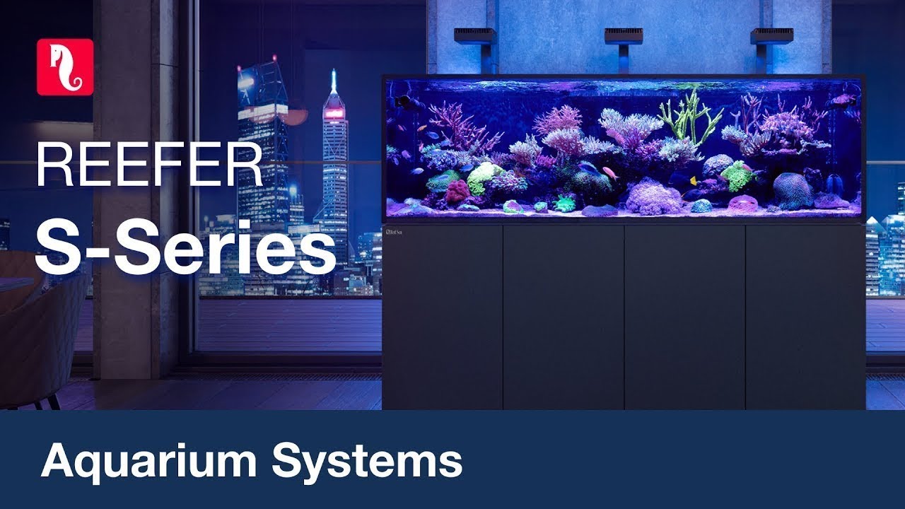 レッドシー S-1000フルセット REEFER G2+ S1000 【Red Sea】｜サンゴ