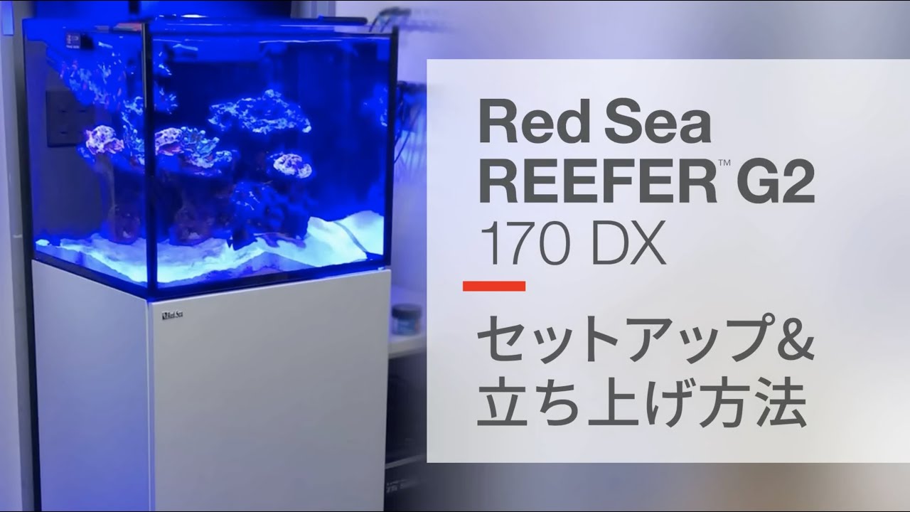 Reefer G2 170DX セットアップ&立ち上げ方法 - YouTube