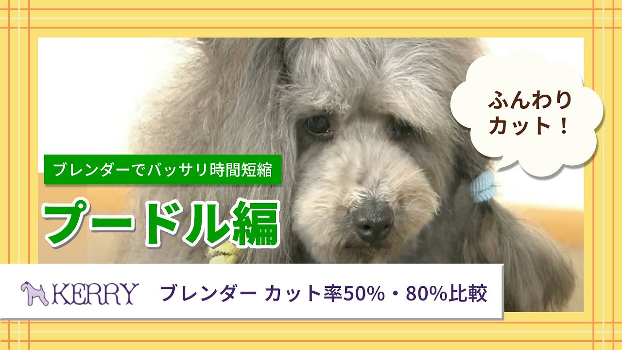 KERRY ブレンダー カット率50%・80%比較 【ワンクスクリエイション