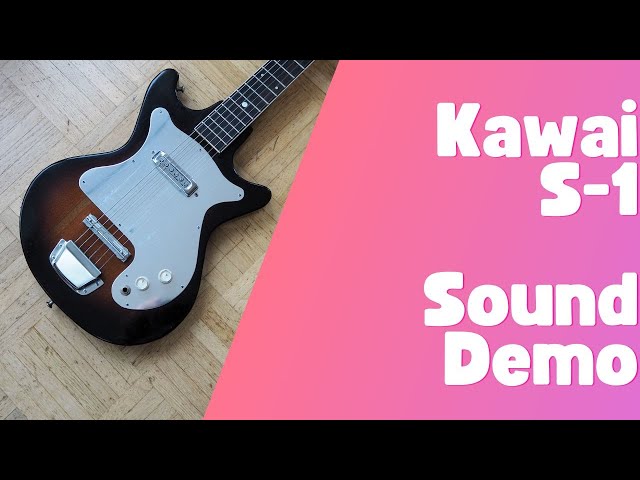 Regina 名東電気 Kawai ピックアップ ビザール Regina 名東電気 Kawai