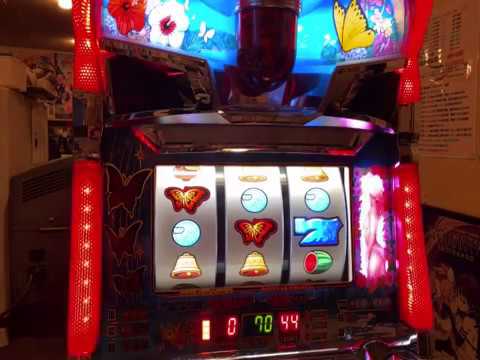 激レア台✨南国美人‼️RT中にまさかの蝶が飛ぶ⁉️設定6‼️【Butterfly