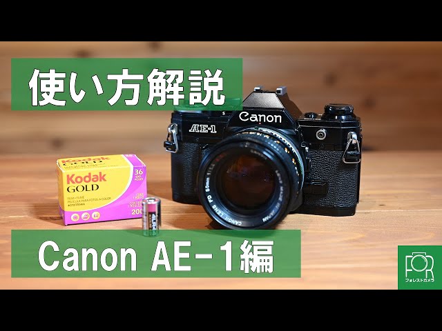 日*0様 Canon AE-1 & T50 フィルム一眼レフカメラセット まとめ 日*0様
