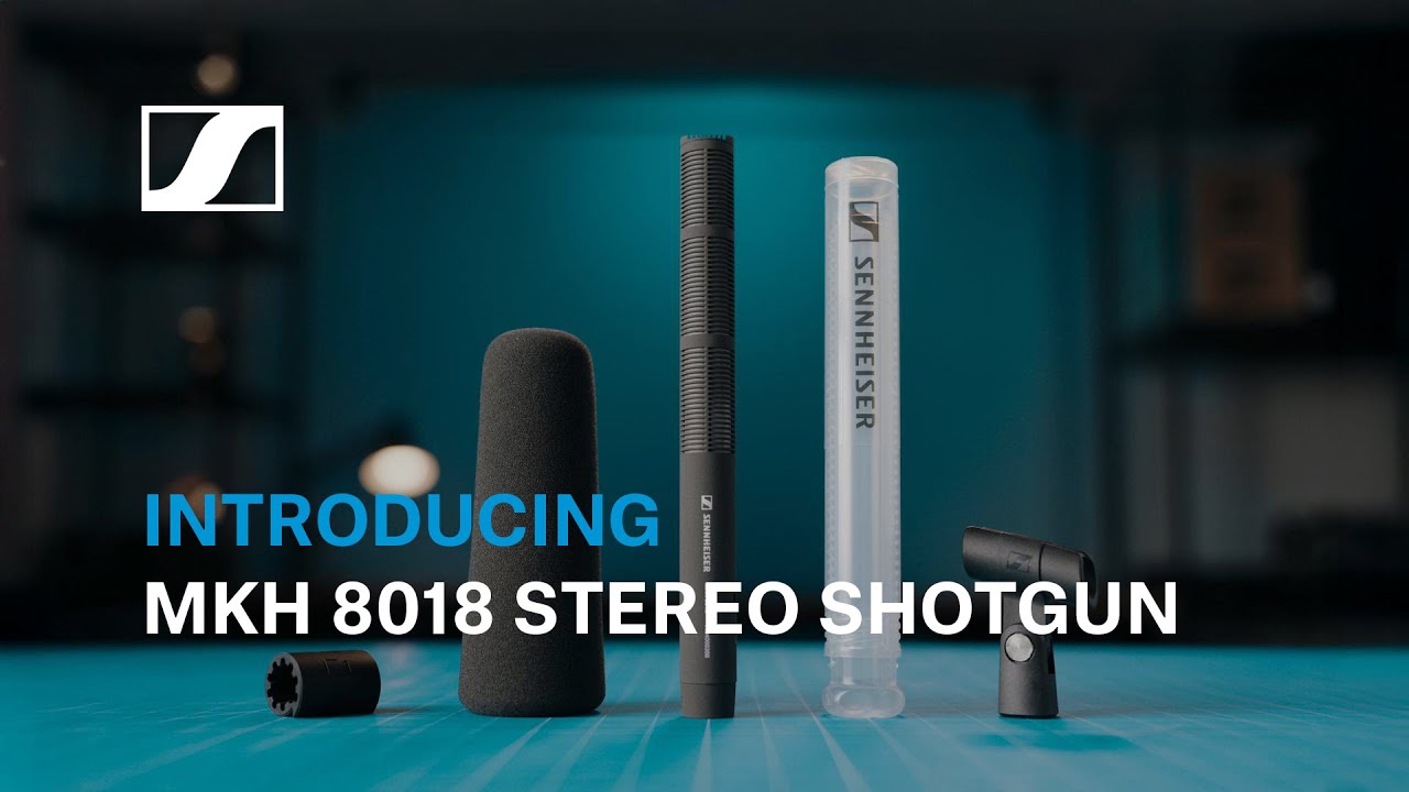 SENNHEISER ( ゼンハイザー ) MKH 8018 送料無料 | サウンドハウス