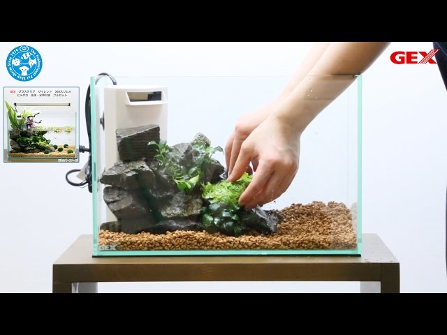 手軽にミニテラリウムを！生体付きのお得な水槽セット【チャーム