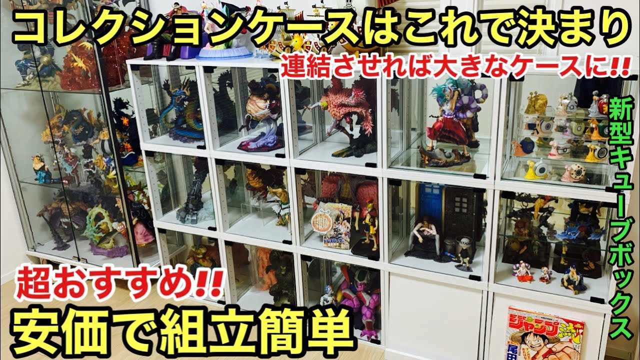 Introducing a new model! This is the perfect affordable collection