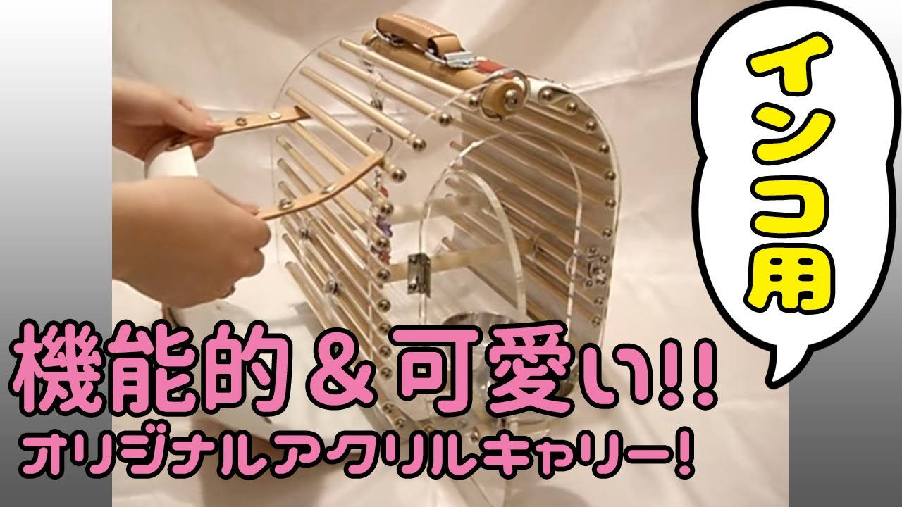 LITTLE BUDDY☆大型用オリジナルアクリルキャリーLB400クリア - とりま