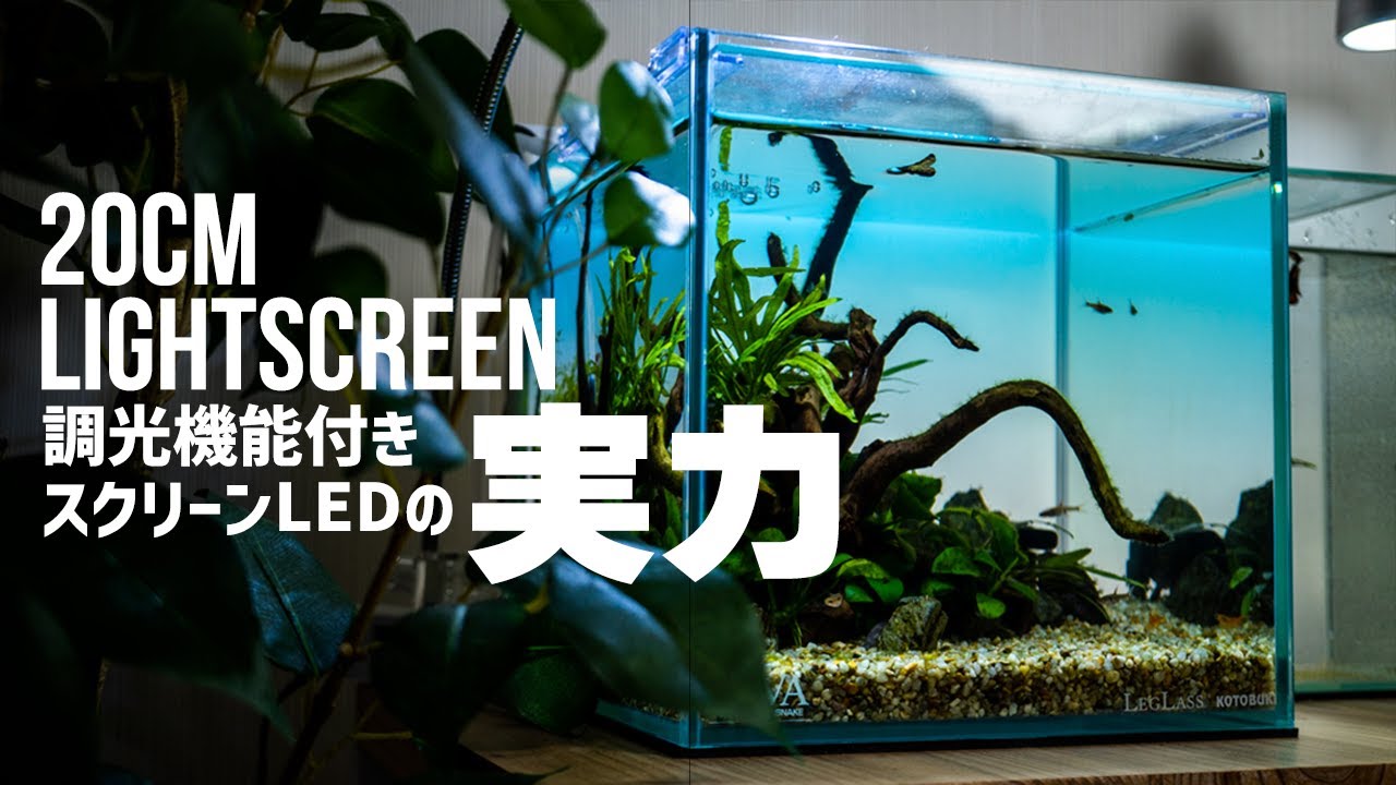 GrassyCore Reef スマートLED水槽照明 GrassyCore Reef スマートLED