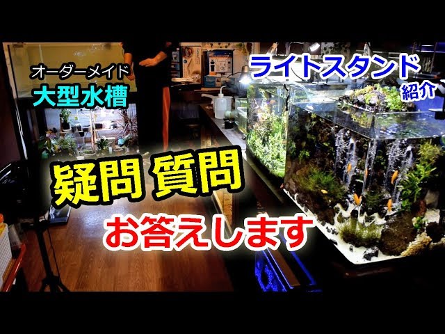 Introducing and setting up a light stand for large aquariums! And