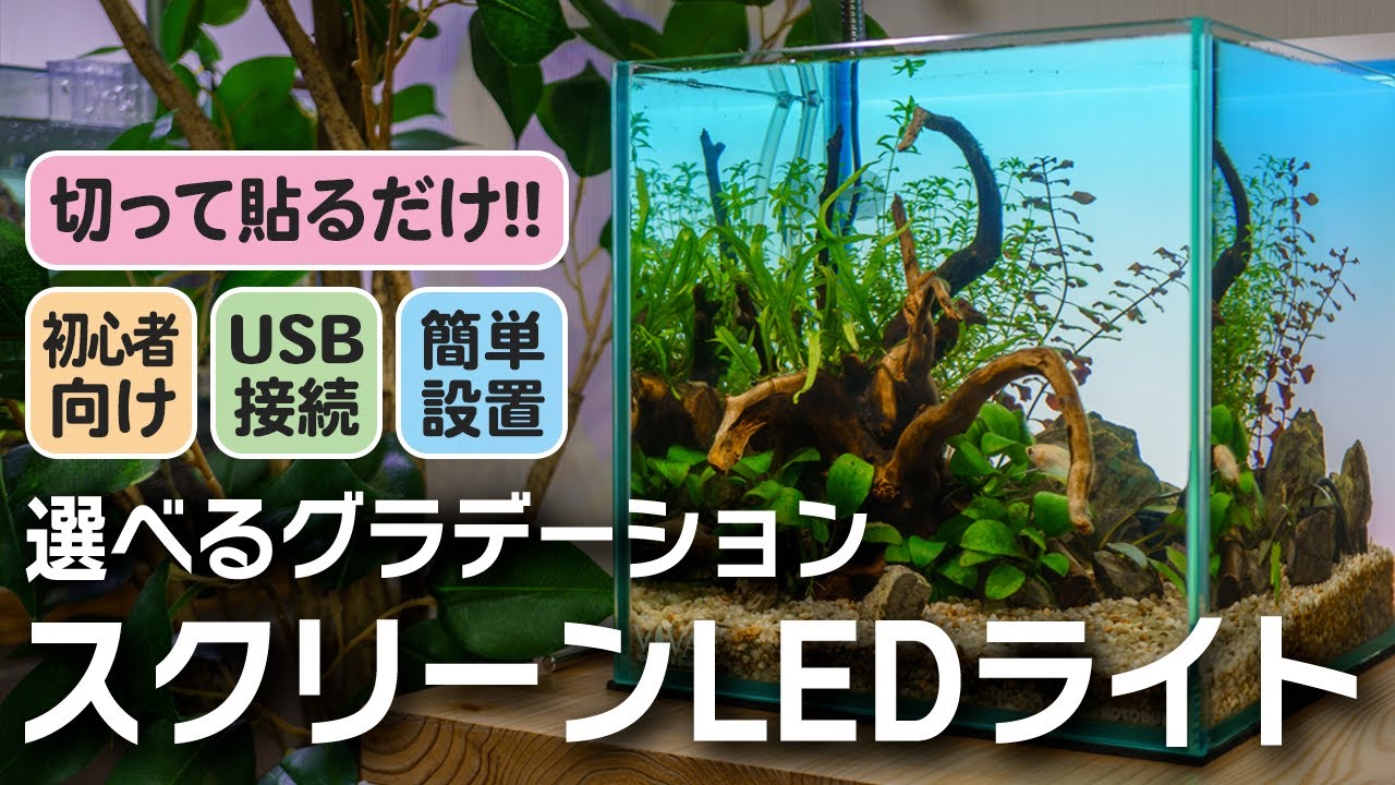 水槽 カラー バックライトスクリーン 60cm×40cm アクアリ