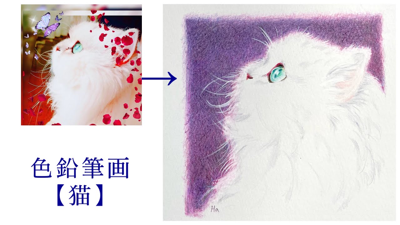 色鉛筆画 絵画 「Can I make love to you?」 repost No.84】 エビ